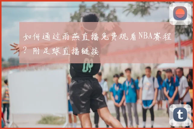如何通过雨燕直播免费观看NBA赛程?附足球直播链接